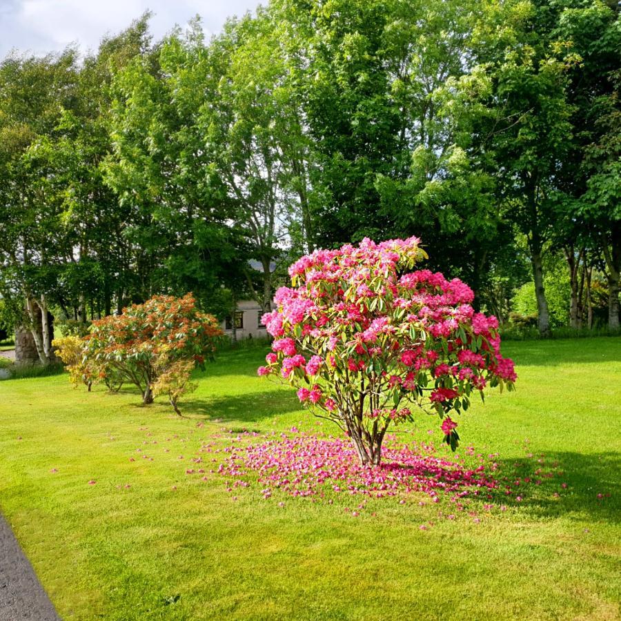 Bogenraith House Banchory Exterior foto