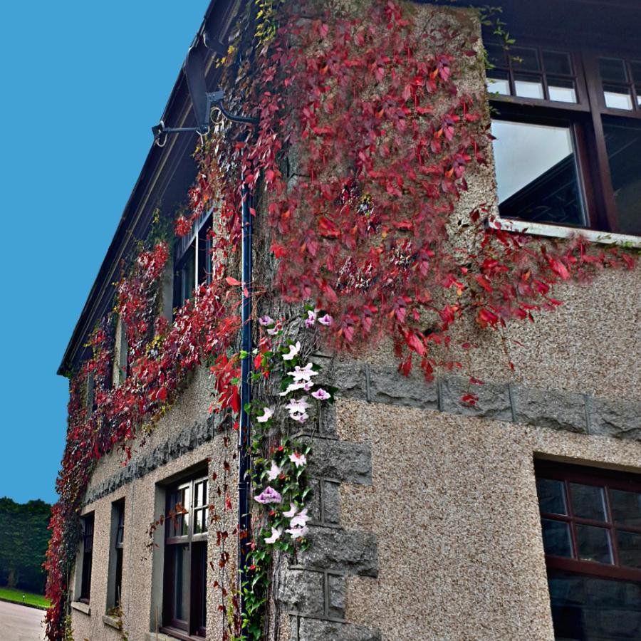 Bogenraith House Banchory Exterior foto